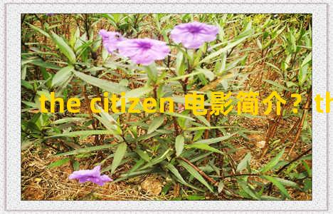 the citizen 电影简介？the citizenry